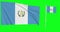 Green screen Guatemala two flags waving guatemalan flagpole animation 3d chroma key
