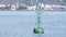 Green sea buoy with solar battery closeup.