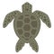 Green Sea Turtle