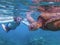 Green Sea Turtle Close Up Profile in Blue Sea with Snorkeler in Background