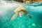 A green sea turtle takes a dive