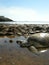 Green sea turtles on the beach, stuck at low tide in a pool and waiting the high tide to swim back to the ocean