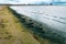 Green seagrass algae at the beach in Halmstad