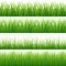 Green seamless grass vector set