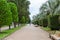 green seaside boulevard in Batumi city in autumn