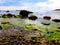 Green seaweed, rocks on a crystal clear blue ocean