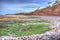 Green seaweed St Audries Bay beach Somerset England uk in colourful HDR