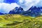Green Sedum Pehoe Lake Paine Horns Torres del Paine National Park Chile