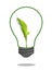 Green seedling in light bulb, included plant clipping path