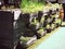 green seedlings and plants in a wooden ornamental boxes at street