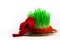 Green semeni on vintage plate, decorated with twist red ribbon and red tassel