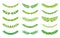 Green semicircular form wreath foliate border set