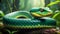 Green Serpent\\\'s Gaze, AI