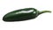 Green Serrano chile pepper, paths