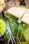 Green serving glass plate with rosemary shortbread on wooden tab