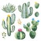 Green set with watercolor cactus,succulents and multicolored flowers