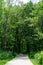 Green Shaded Trail at Waterfall Glen Forest Preserve in Suburban Lemont Illinois