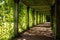 Green shady tunnel with plants in a summer park