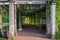 Green shady tunnel with plants in a summer park