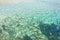 Green shallow sea water background texture
