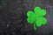 Green shamrock on a black background. St.Patrick`s Day background. Symbol of Ireland. Copy space