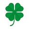 Green shamrock clover icon. Irish symbol of luck.