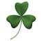 Green shamrock on isolated white background. Object and Nature concept. Saint Patrick day theme. 3D illustration. Clipping path us