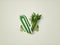 a green shape latter V with leaf\\\'s on white background, world vegetable day, vegan day, world food day