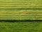 green sheared summer field aerial photo