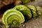 Green shelf mushrooms