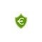 Green shield with euro sign. Protected euro, shield icon. Money safe pictogram. Investments safety symbol.