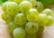 green Shine Muscat grape