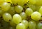 green Shine Muscat grape