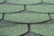 Green shingle background pattern close-up
