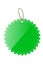 Green Shining Star Blank Tag