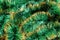 Green shiny christmas tinsel texture for decoration