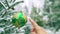 Green shiny round toy on a Christmas tree covered with snow.