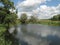 Green shore of a small pond