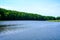 Green shore of a summer lake