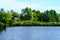 Green shore of a summer lake