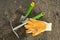 Green shovel and rake, garden gloves for seedlings