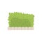 Green shrub fence, urban infrastructure element vector Illustration