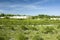 Green shrubs and trees, slope of chalk and blue sky