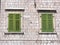 Green shutters