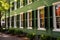 green shutters on windows of a colonial revival house