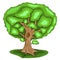 Green, single tree with leaves vector illustration in colored version with shadows on ground, cartoon style