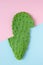 Green sliced cactus on pink and blue background.