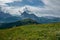 Green slope against the background of mountains