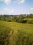 Green slope near the forest