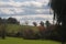 Green sloping field with cows in the distance. Green, orange, red and yellow trees around the field.